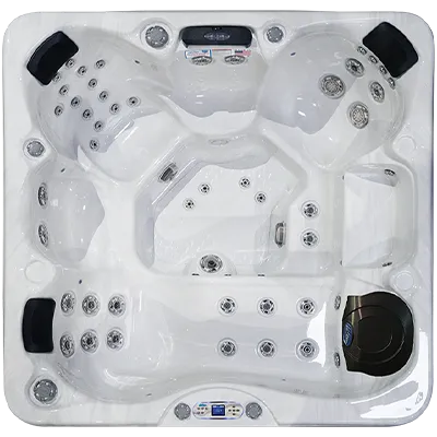 Avalon EC-849L hot tubs for sale in West Virginia